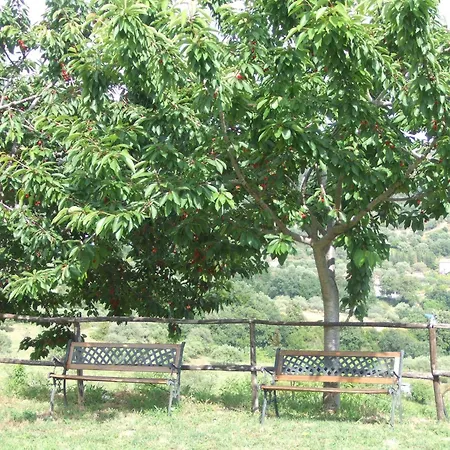 Bed & Breakfast Le Torrette 3*