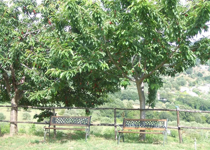 Couette-café Le Torrette 4*